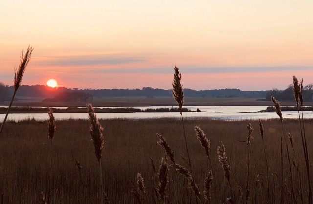 A traditionally furnished cottage with fantastic views across the Alde Estuary
