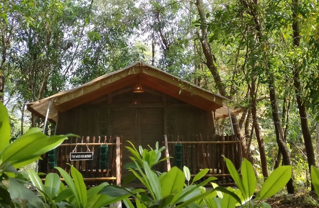 A wellness getaway in nature, for you & your pet !