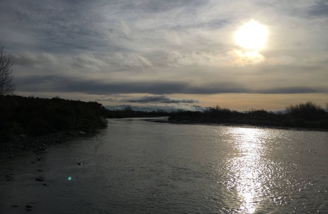 Accomodation on lifestyle block close to the Rakaia River