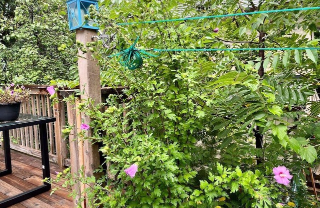 Adorable 1 Bedroom Suite With Kitchen & Fireplace