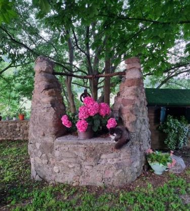 Agriturismo Case in Collina