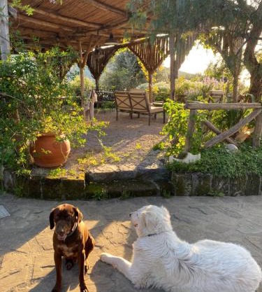 Agriturismo L'Olivara