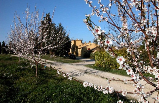 Agriturismo Le magnolie