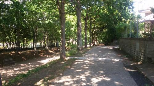 alloggio turistico olmata