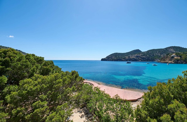 Alua Gran Camp de Mar Hotel