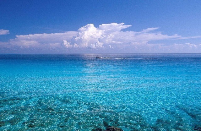 ~Amazing Casa Bendicion Condo on Beach, Sleeps 8, Huge Pool with Hot Tub~