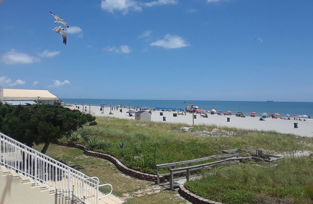 AMAZING OCEAN VIEW ! Watch Rocket Launches from the beach!