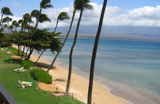 Amazing Oceanfront Condo, Tropical Luxury, Great Value, 2 BR, 2 Bath
