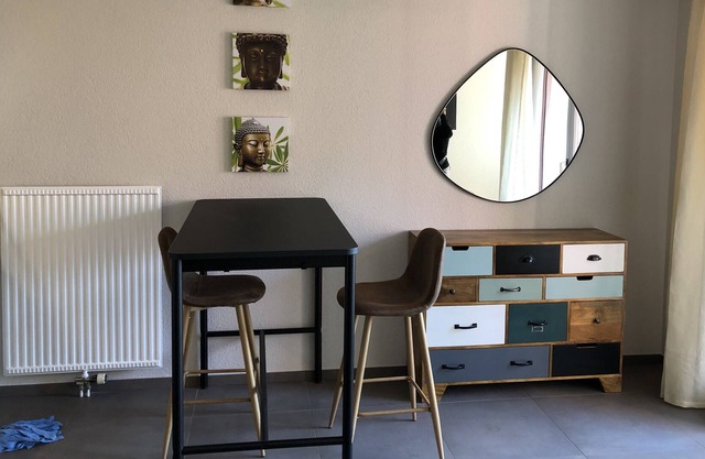 Amazing Studio In Lausanne Close To Epfl & Unil