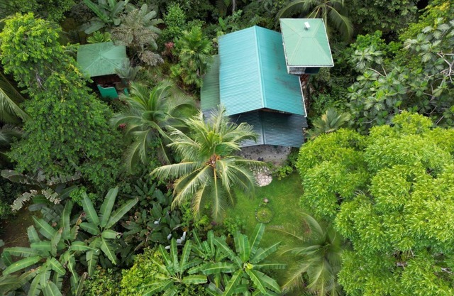 An immersive experience in the Osa rainforest