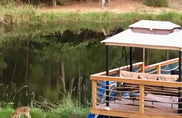 Angeltom Cabin & RV:20 Acre Woods - >16 pip + Jacuzzi + treehouse + UTV + 2ponds