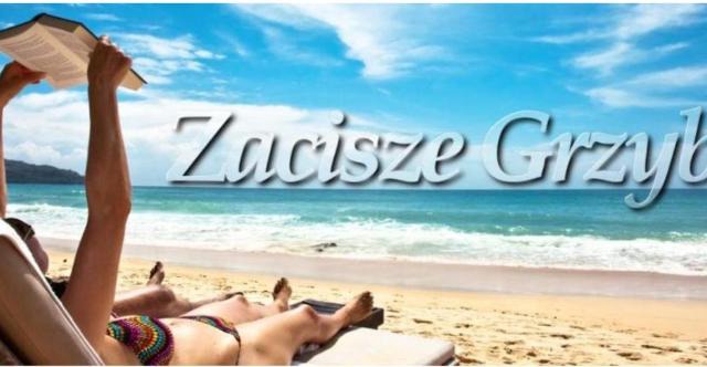 APARTAMENT ZACISZE