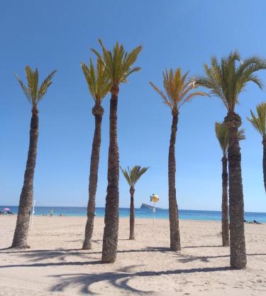 Apartamento Orly centro