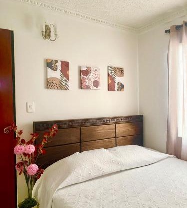 Apartamento para máx 5 personas, habitación privada con cama doble , habitación abierta con camarote y sofá cama, comodo, bonito, central, bien ubicado, en el centro de palmira