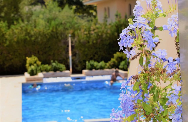 Apartamentos Sureda
