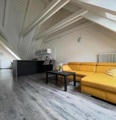 Apartmán v podkroví Malý Paríž