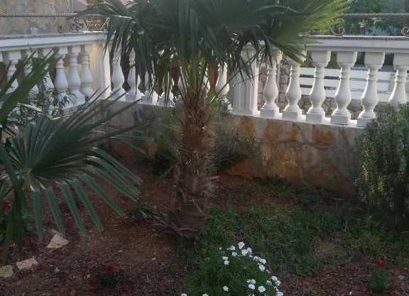 Apartman Amadea 2