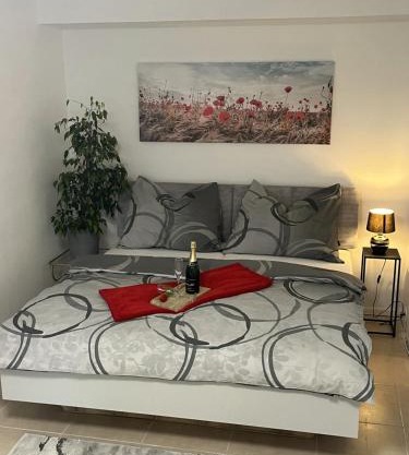 Apartman Collie