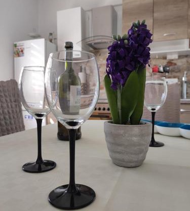 Apartmani Žak