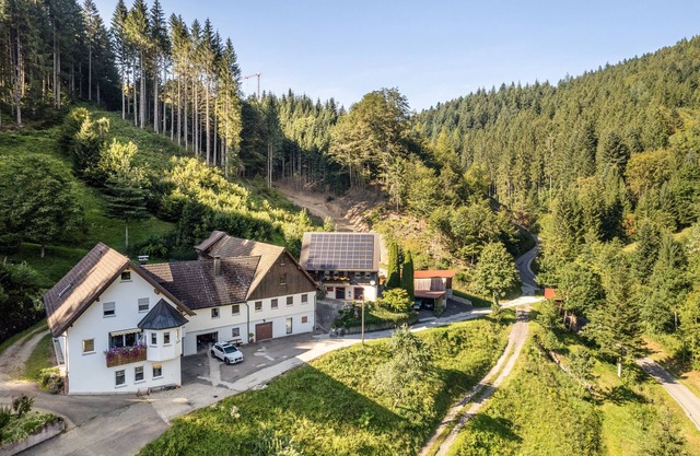 Apartment "Brumichelhof" with Mountain View, Private Terrace & Wi-Fi