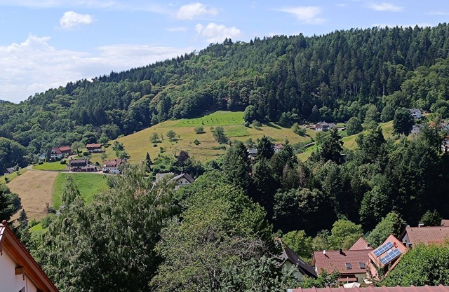 Apartment 35 sqm with valley view directly on the edge of the forest