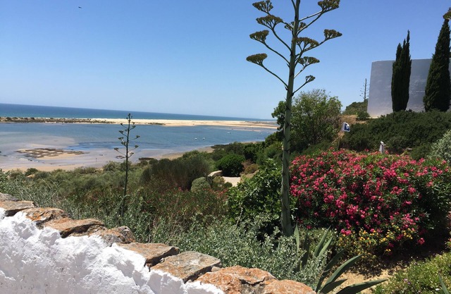 Apartment close to the beach, on the ground floor, quiet and modern for 7 people