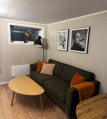 Apartment close to Aalesund center