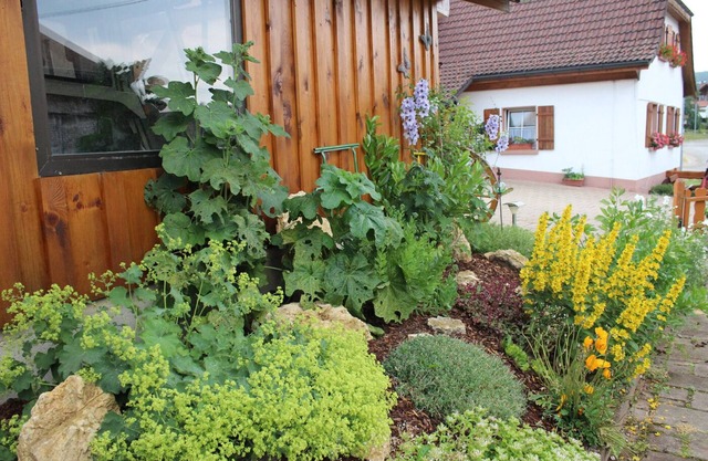 Apartment, ideal for families with children, near Schluchsee