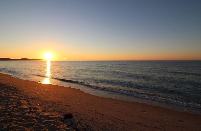Apartment in Costa Rei near White Sand Beaches
