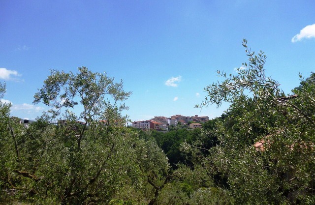 apartment in the historic center