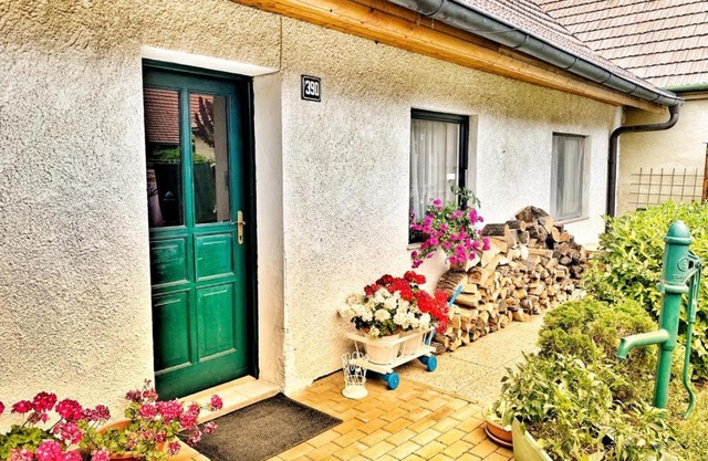 Apartment Sakvice 390