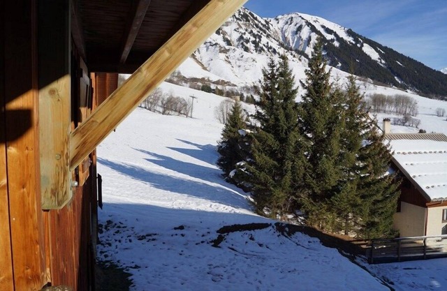 Apartment sleeps 6, 50m from the ski slopes, mountain view