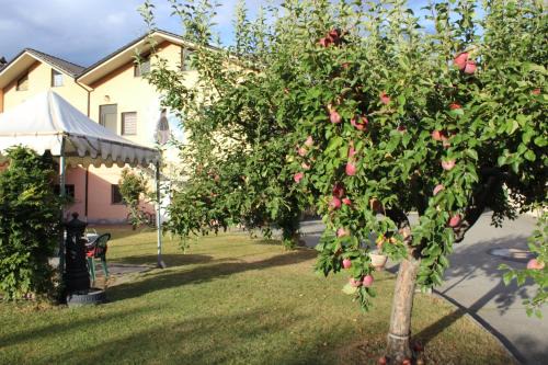 APPARTAMENTO quattro - CIR 0008