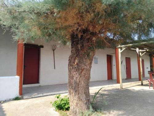 Appartement avec jardinet dans mas équestre