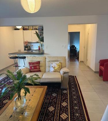 Appartement Confort centre ville Saint-Louis Accès Bâle et Allemagne