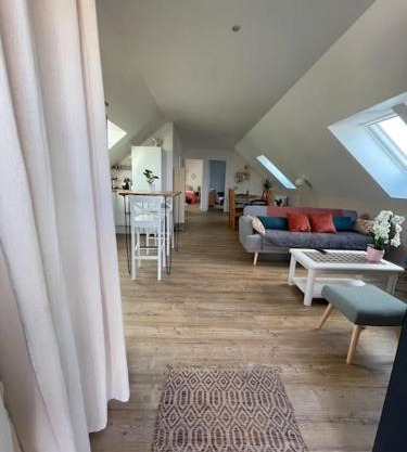 Appartement cosy sous les toits