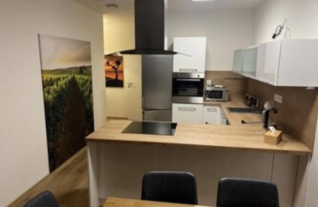 Appartment Mikulov gardens A1 - the view to romantic castle + gardens, NEW HOUSE
