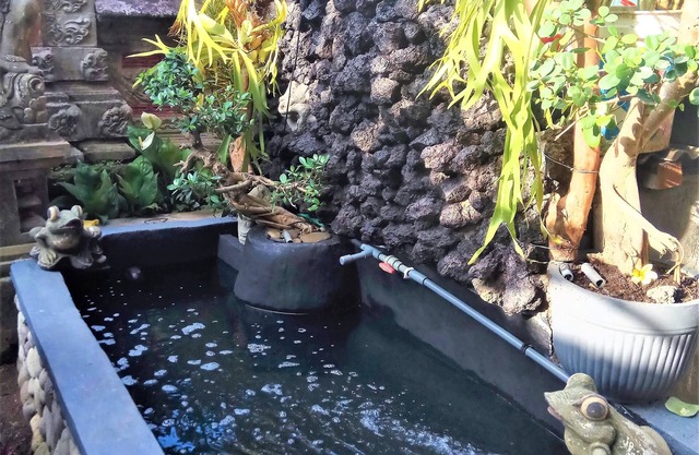 Arjuna Homestay Ubud