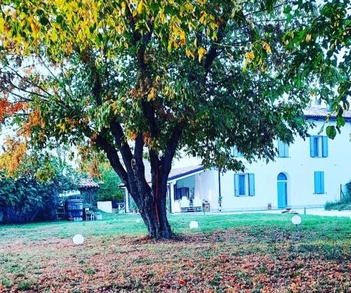 Armonie di Campagna Rooms & Breakfast di Valentini Sabina