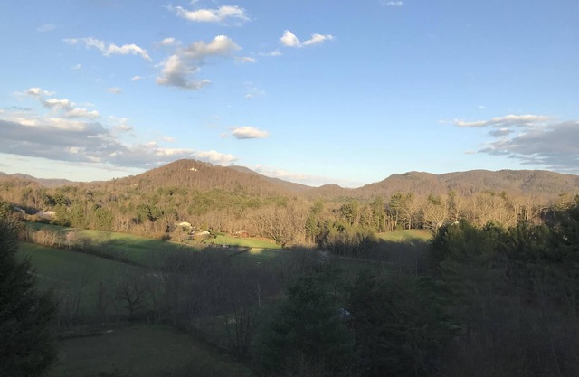 Asheville's Rural Masterpiece, Private, Mountain Views Pet Friendly