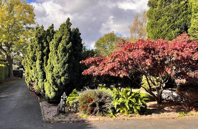 Ashfield Bed and Breakfast