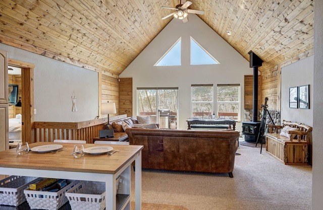 Aspen View Cabin Summ