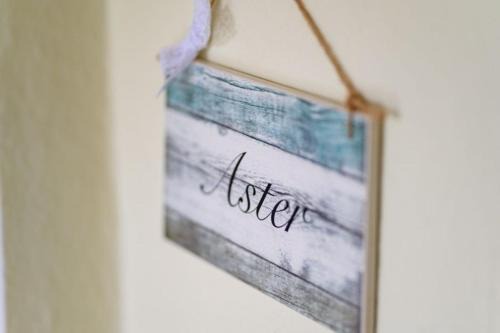 Aster