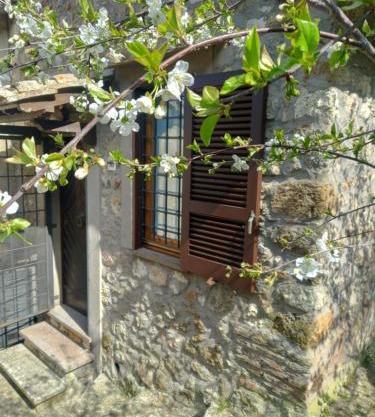 Autenticum Agriturismo Tolfa