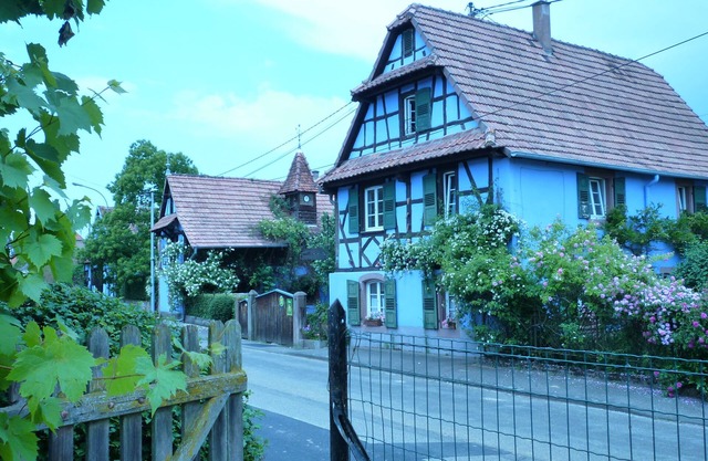 Authentic Alsatian house with magnificent garden