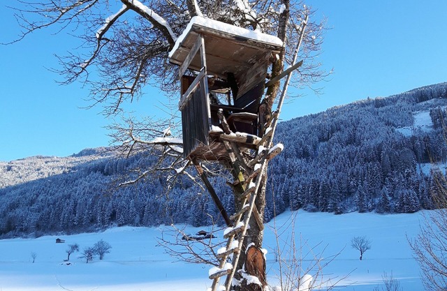 B&B Appartements GLUNGEZER