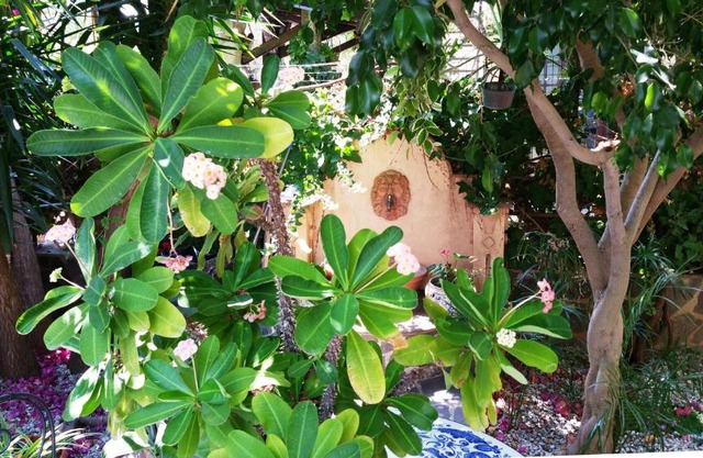 B&B Le Terrazze