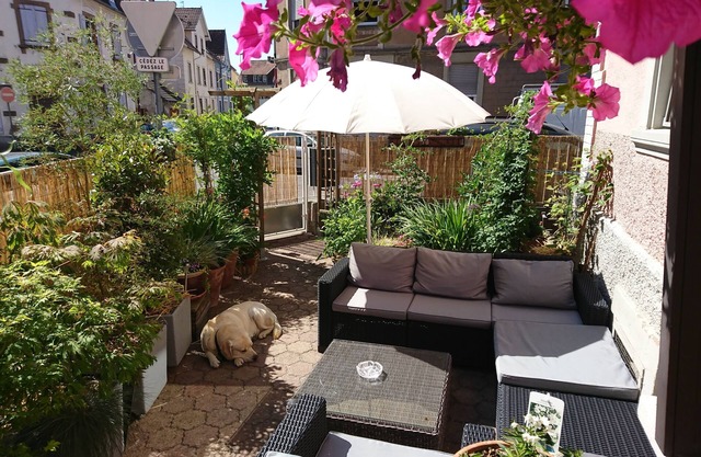 B&B The Cosy Corner, 4stars , Very nice place to stay 2km away from Strasbourg