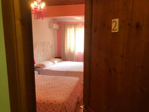 B&B Xenia