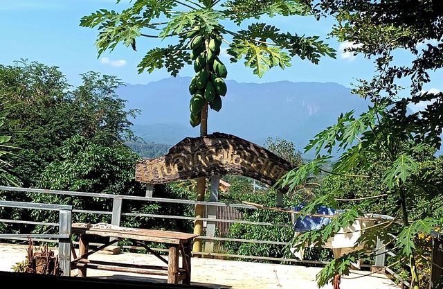 Baan AingDoi Homestay